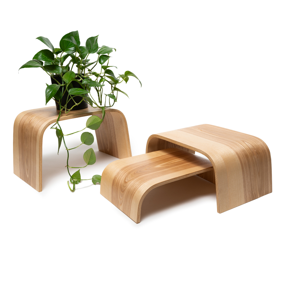 floor plant stands indoor Floor Planter Podium Wooden (set of 3) – EWD
