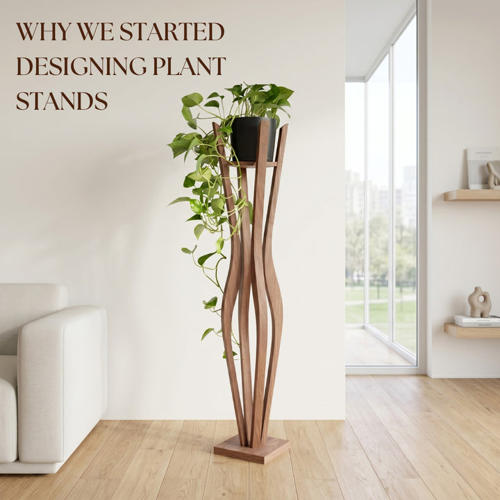 Why We Started Designing Plant Stands (And Why Our Office Has Around 15 Plants)