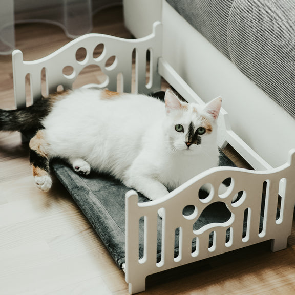 animal products, animal beds, perch