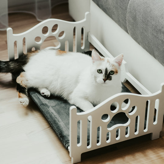 animal products, animal beds, perch