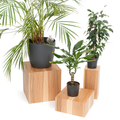 A set of 3 wooden cube plants stands in different dimensions with vertical groove design on one corner