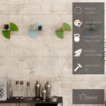Colorful wall shelves in green and turquoise, attached to a wall with a rustic texture. The image includes icons highlighting key features: Made in Europe, available in 6 colors, holds up to 3 kg (11 lbs), powder-coated finish, and easy to set up. The EWART WOODS logo is displayed.