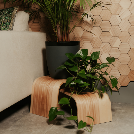 Two contemporary-style curved wooden plant stands with a smooth, polished wood grain texture, supporting potted plants. A beige sofa and a wooden hexagon-wall are visible in the background.