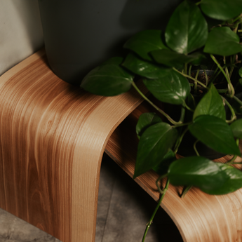 Close-up of a curved wooden plant stand with a polished wood grain texture, seamless edges, and a sturdy, minimalist design. A potted plant with cascading leaves sits on top, highlighting the stand’s craftsmanship.
