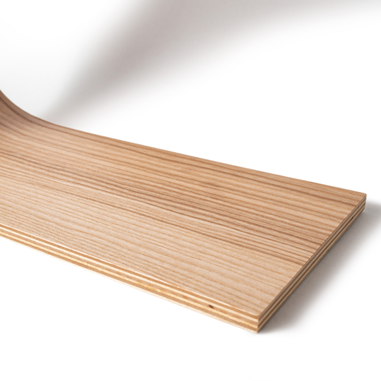 Wall mounted toilet roll holder fine grain close-up