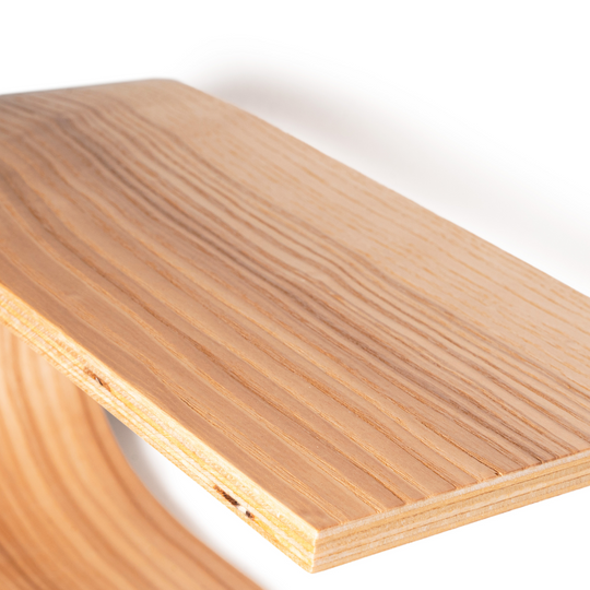 Wall mounted toilet roll holder surface look close-up 