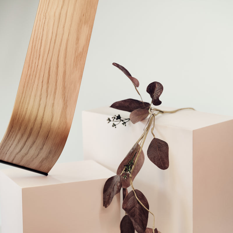 Wooden bridge toilet paper holder wall shelf wide and thin walnut ash