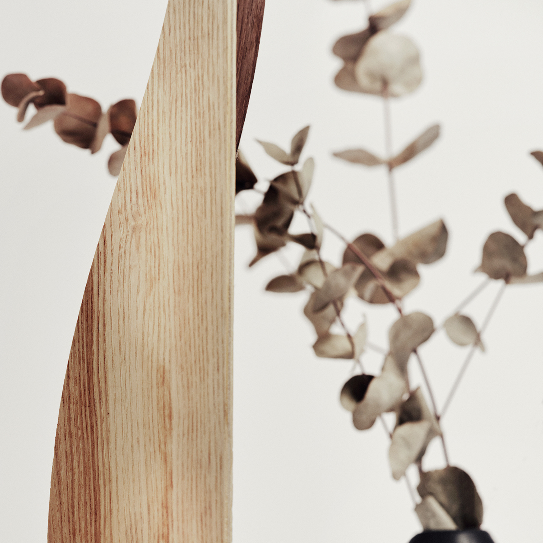 Portarrollos de papel higiénico de pie