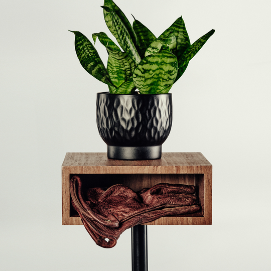 Plant Stand BOX CAVALLO