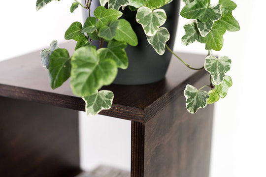 Close-up of a dark-stained wooden side table with a potted ivy plant placed on top, showcasing the table&