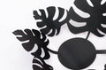 Close-up of a sleek black metal bowl featuring tropical leaf cutouts.